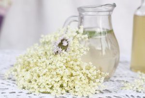 Zioła na przeziębienie