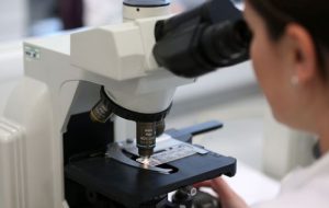 Salmonella - groźna pałeczka latem atakuje częściej – część 2